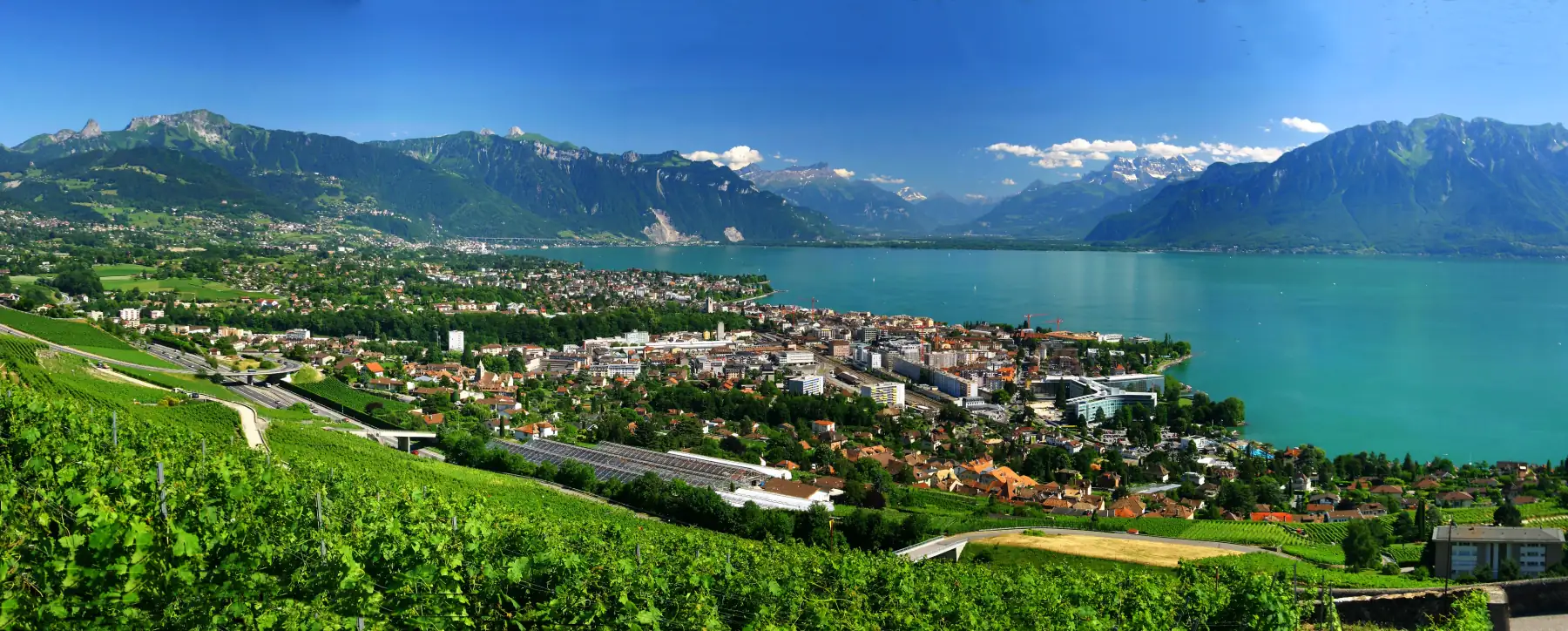 Vevey, le lac Léman et les Alpes vus depuis les vignobles de la Riviera vaudoise.