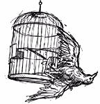 Schets van een vogel die uit een omgekeerde vogelkooi wegvliegt.