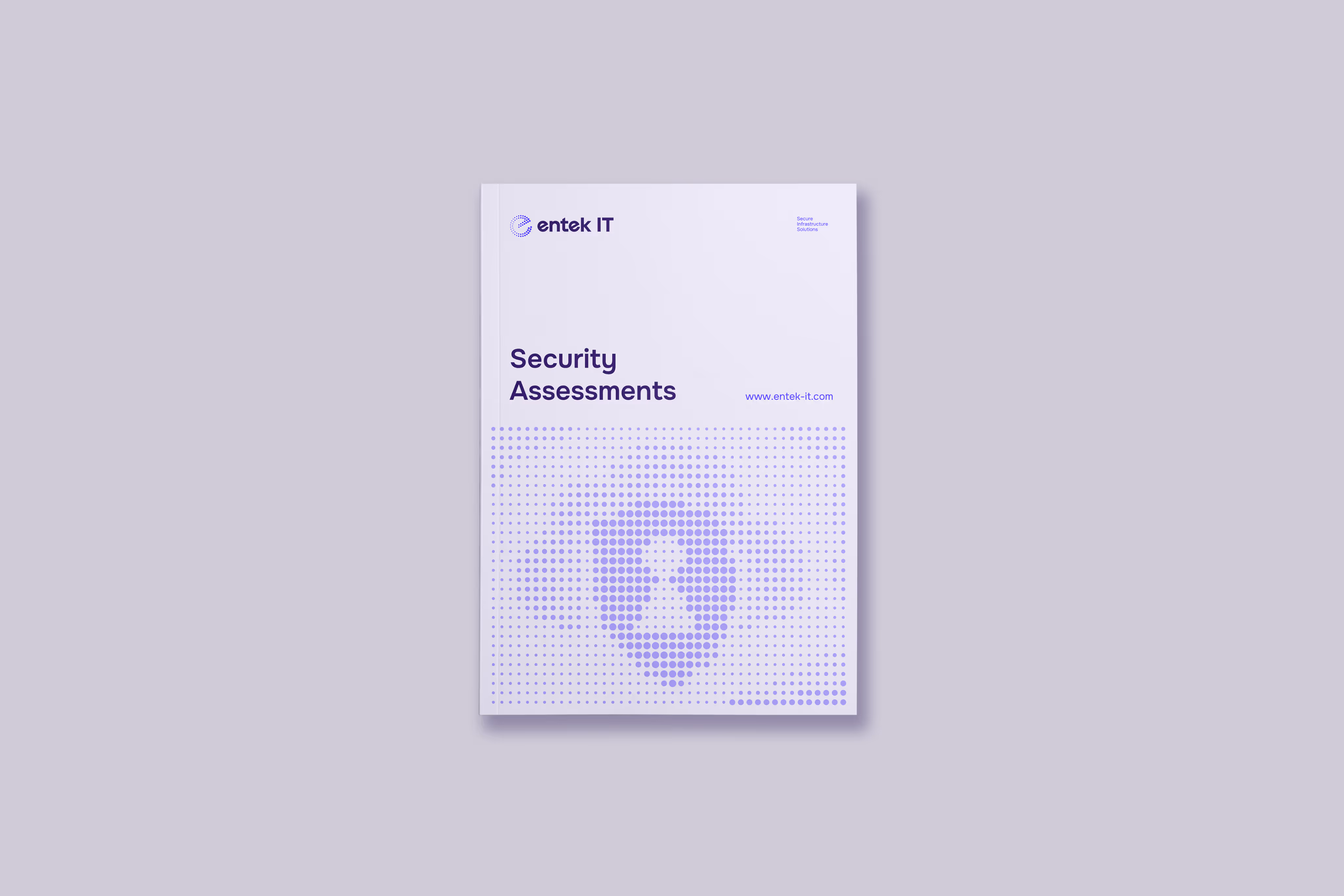 Brochure titled 'Security Assessments' from entek IT with a dotted shield design on the cover.