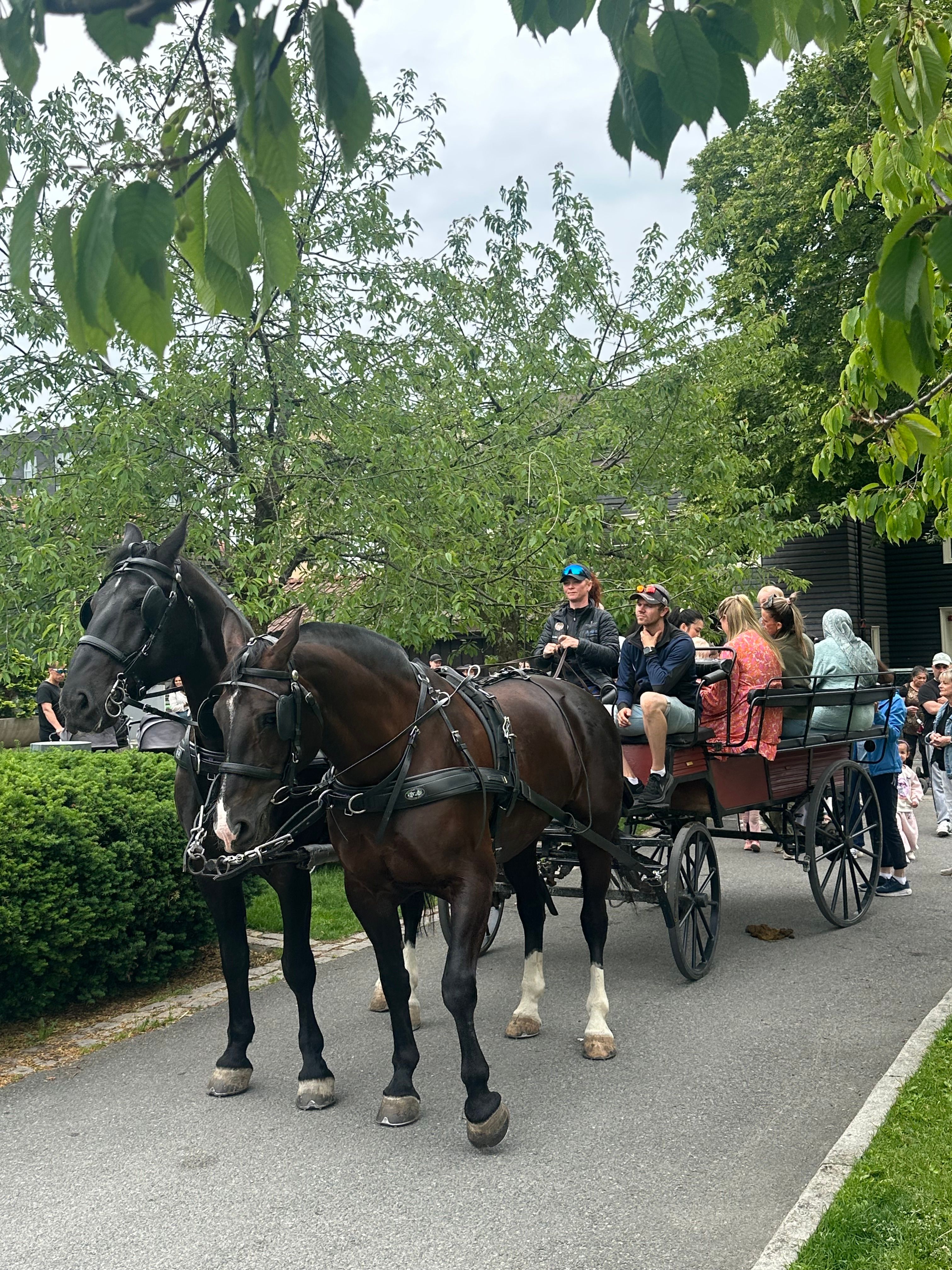 Hest og kjerre i Lørenparken