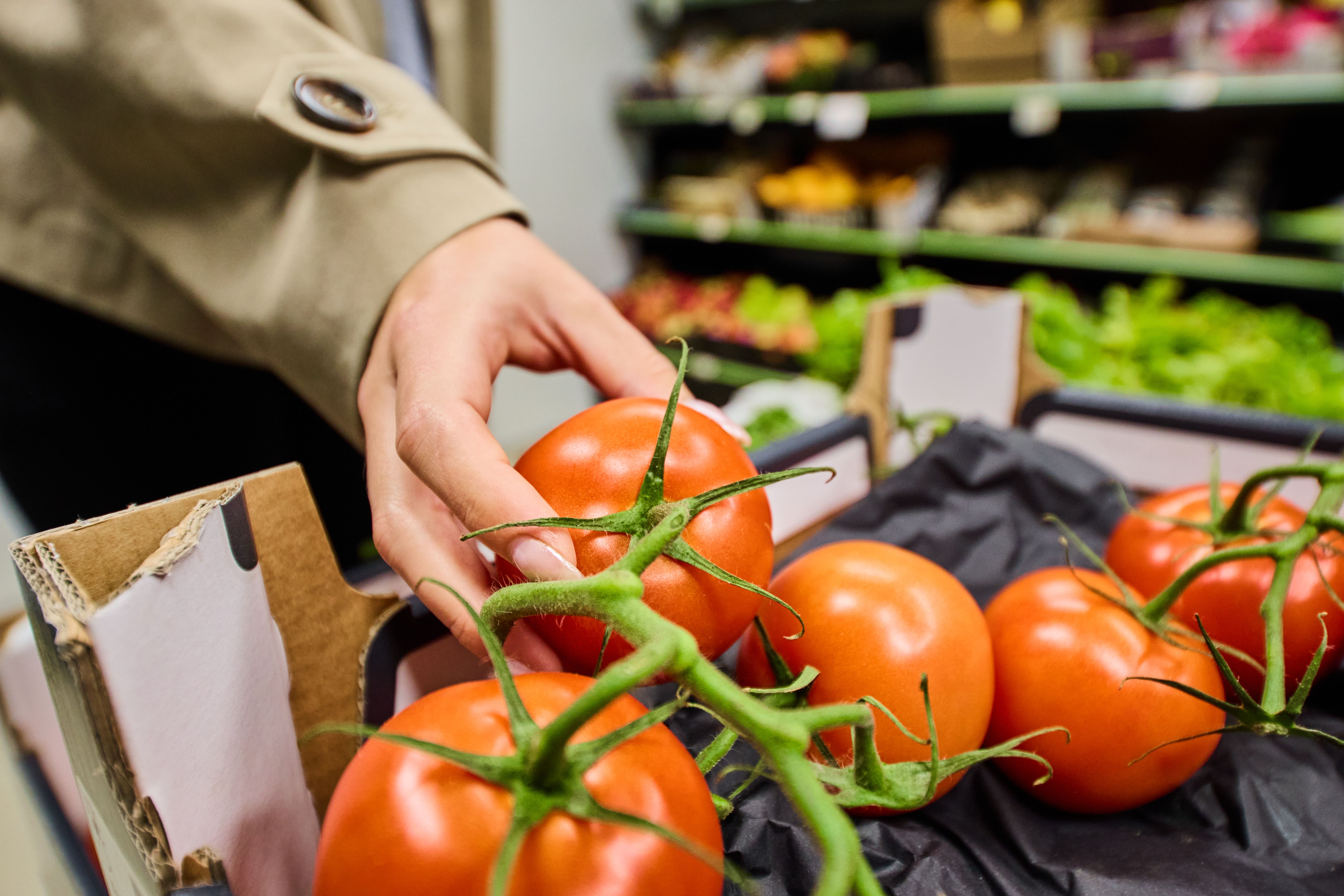 All in One Supermarket