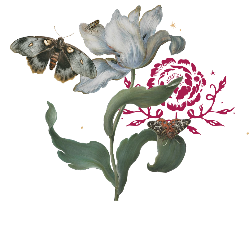 Cultivating Capacity - Reflections - Hero Banner - Lefthand Design Elements