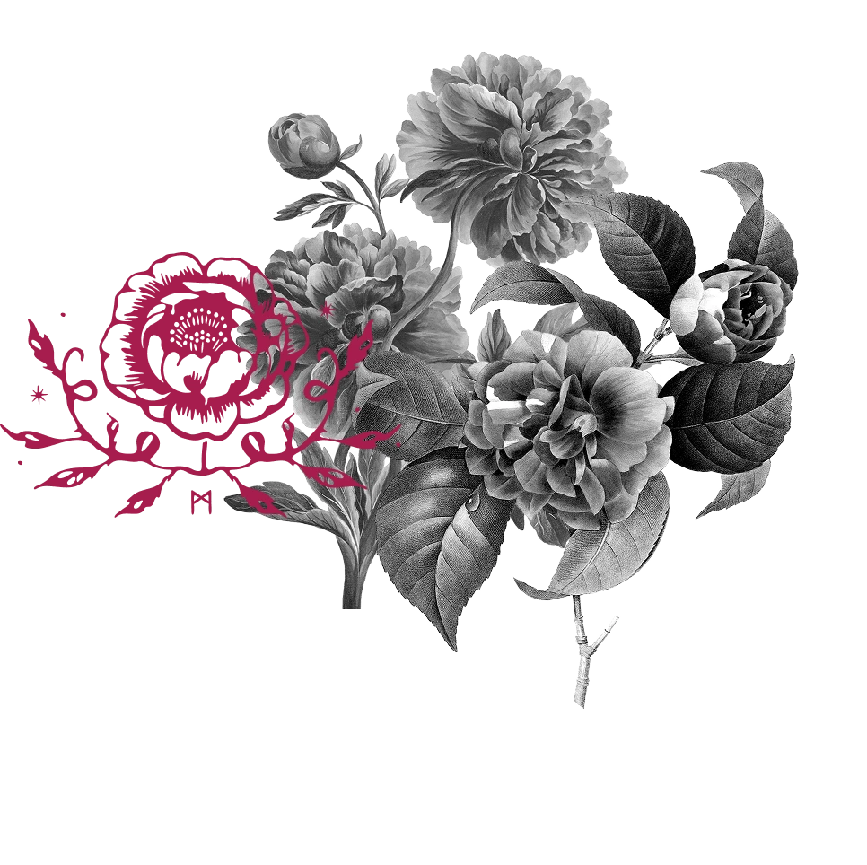 Cultivating Capacity - Get In Touch - Hero Banner - Lefthand Design Elements