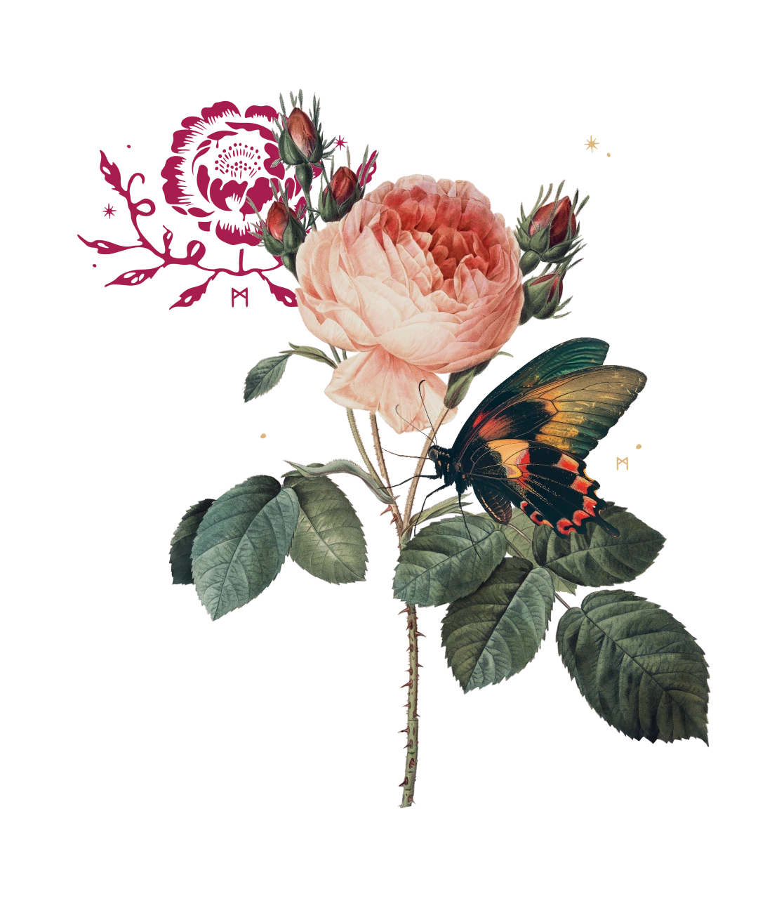 Delicate pink rose with multiple buds and green leaves, accompanied by a colorful butterfly with black, yellow, and red wings.