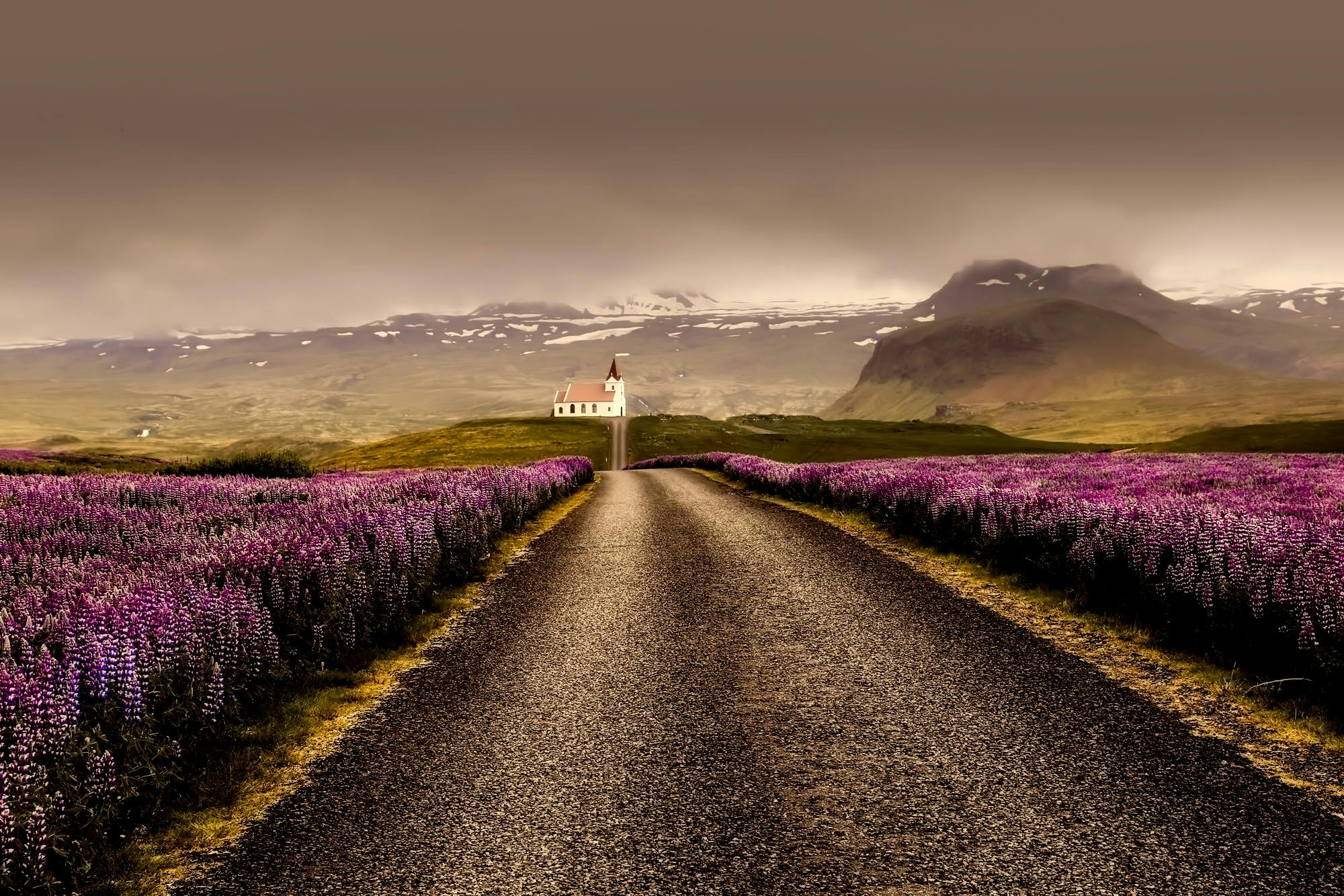 A long gravel road leads through fields of purple flowers toward a small white church, with mountains and low clouds in the background.
