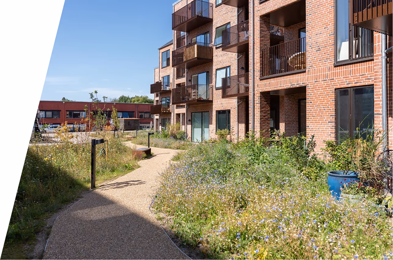 Sti med vilde blomster og planter langs den foran en moderne rødstensbygning med altaner.