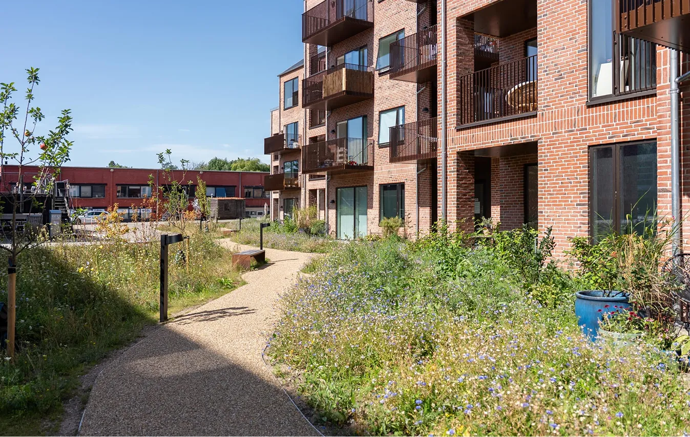 Sti med vilde blomster og buske ved siden af moderne murstensbygninger med altaner under klar blå himmel.
