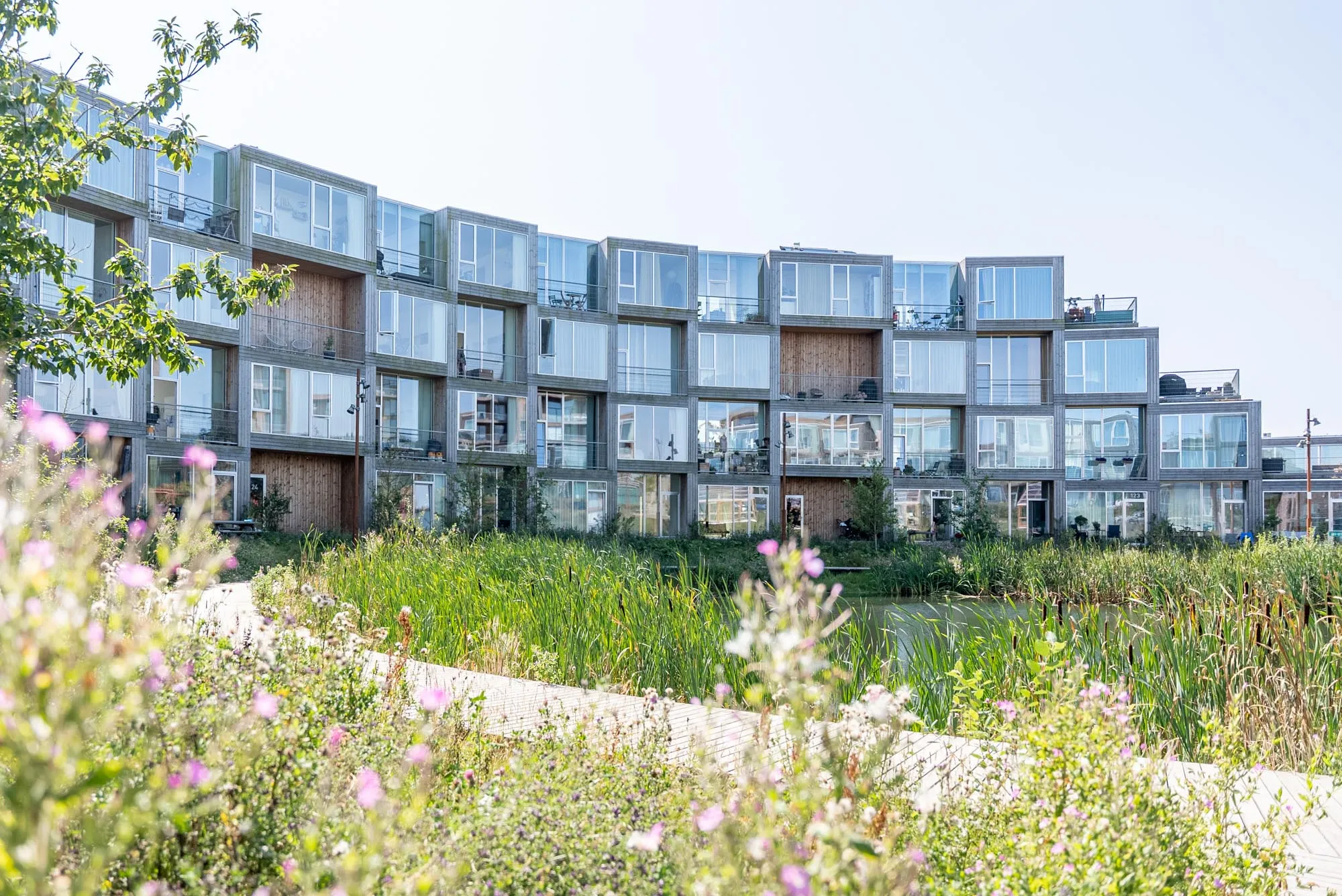 Moderne lejlighedsbygning med store glasvinduer, foran et vådområde med grønne planter og blomster.