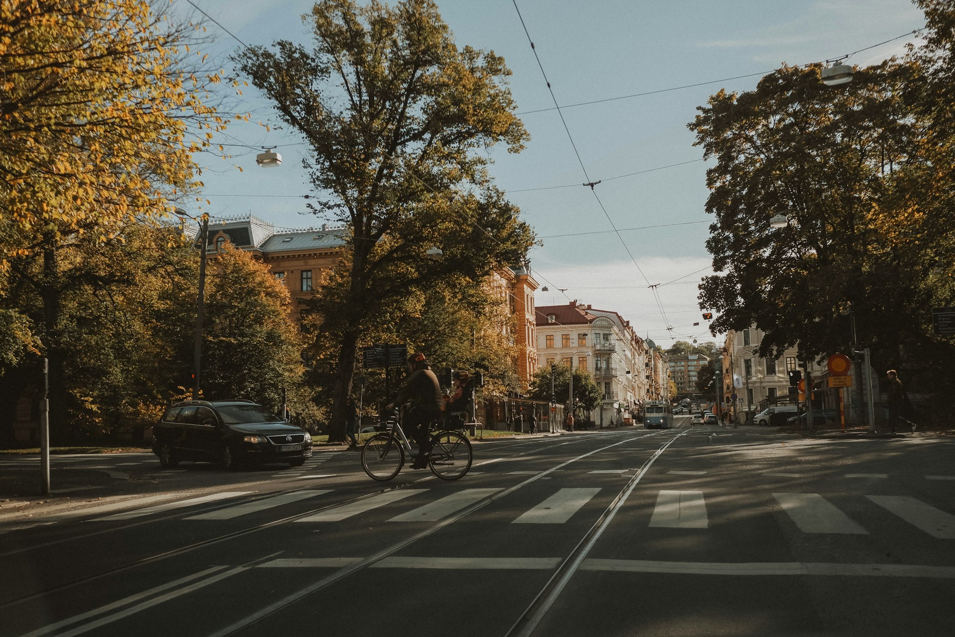 Gata i Göteborg, allé med träd och i bakgrunden skymtar byggnader