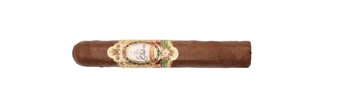 Chaveta (Robusto)