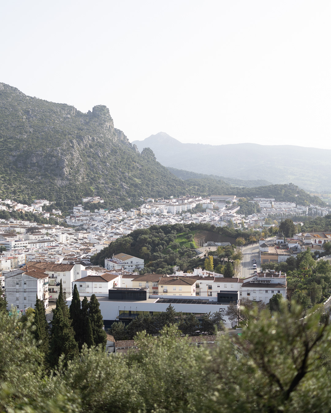 17893102410174814 Copy 5