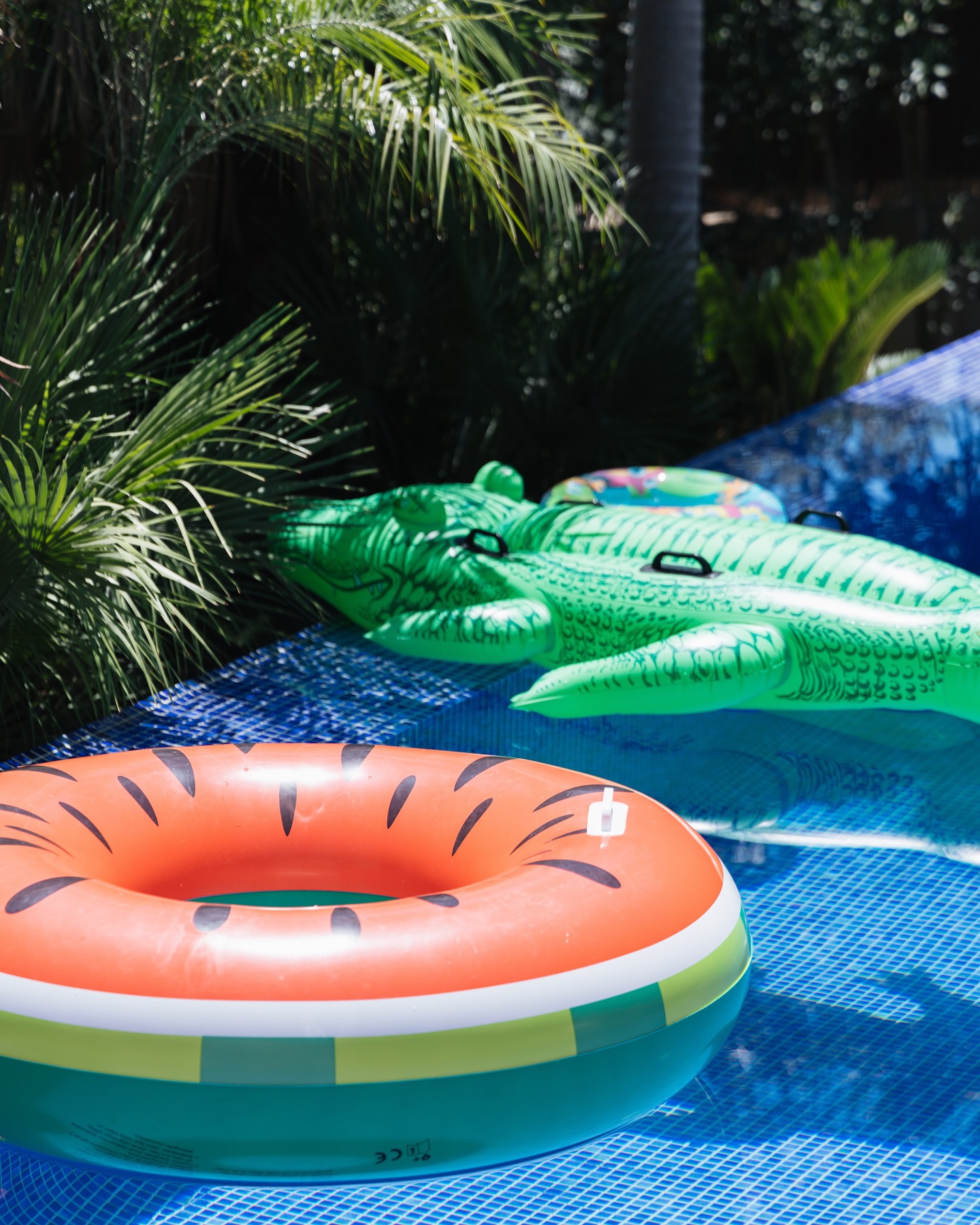 17893102410174814 Copy 5