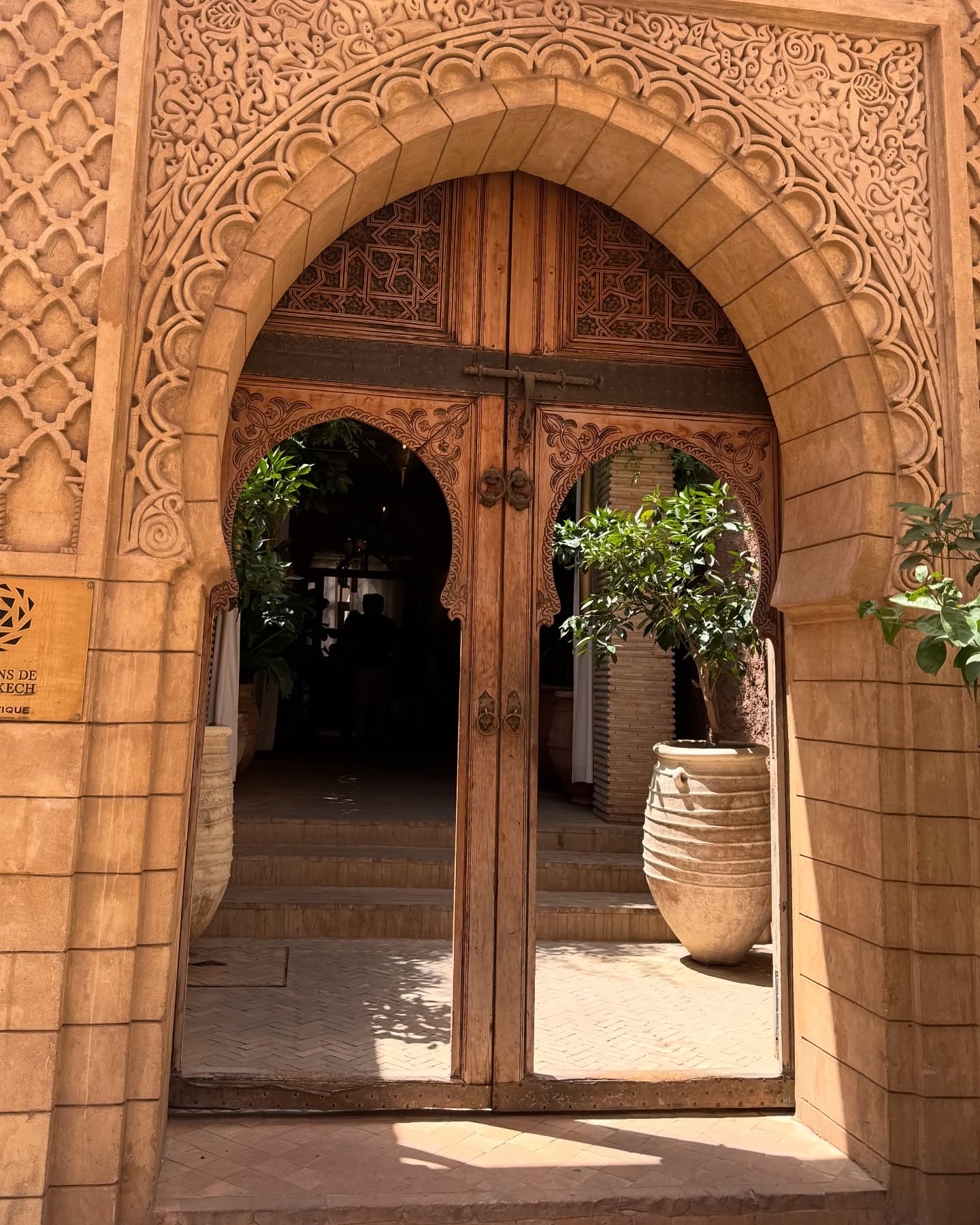 17893102410174814 Copy 3