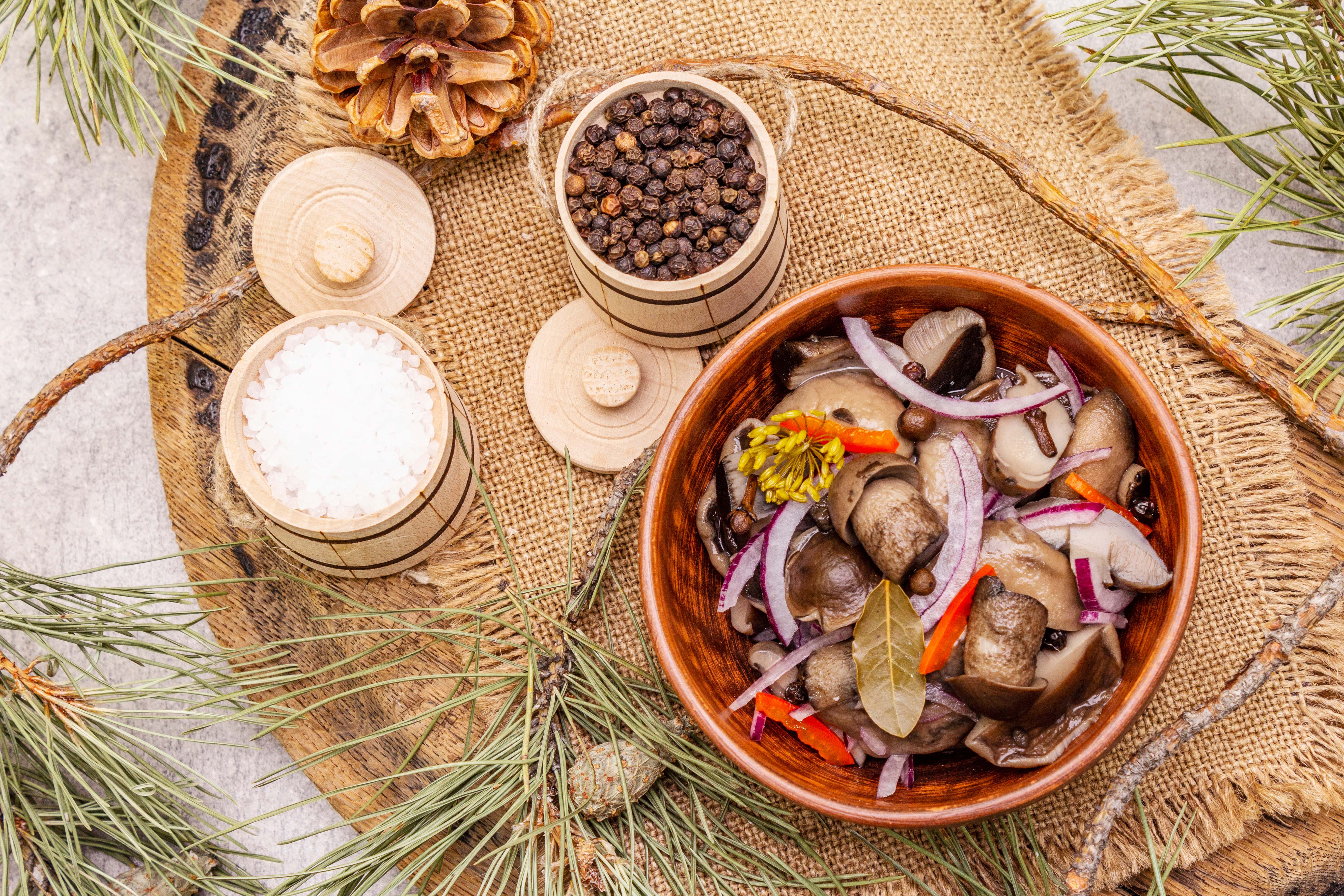 Fridge Therapy - Blog Fast Organic