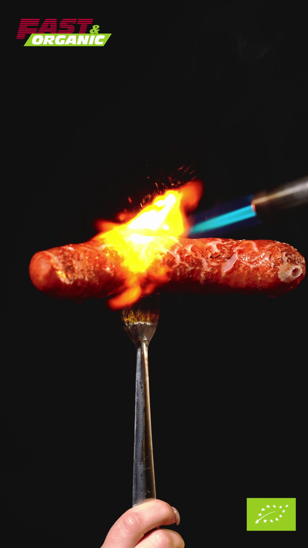 Currywurst with Organic Smoked Sausage 🌭