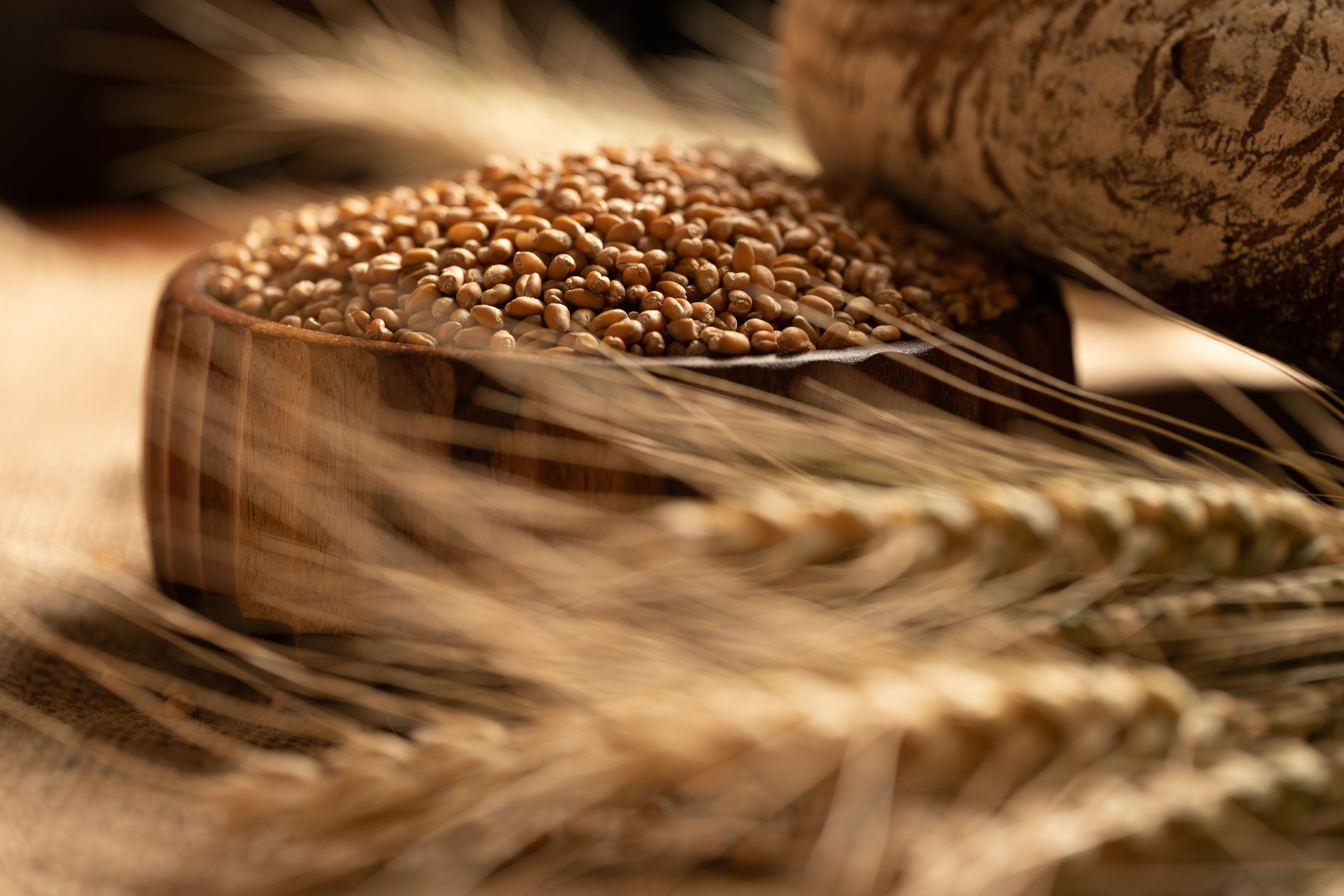 ONE PRODUCT TO RULE THEM ALL. Organic Grains in the Wild! 🍞🍝 
