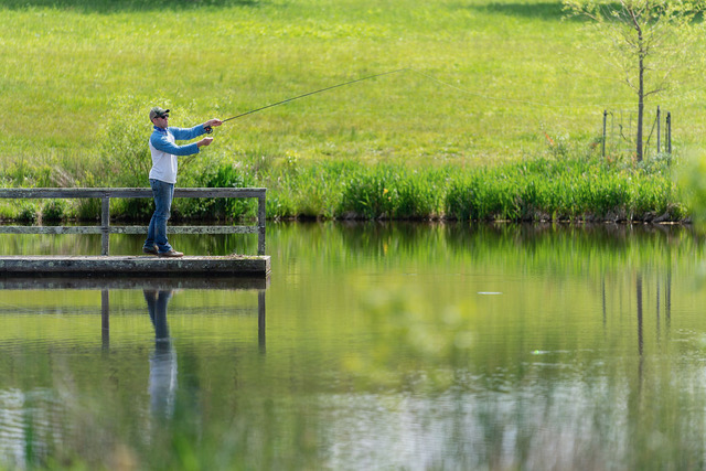 Man standing on a wooden dock fishing in a calm pond surrounded by green grass and vegetation.