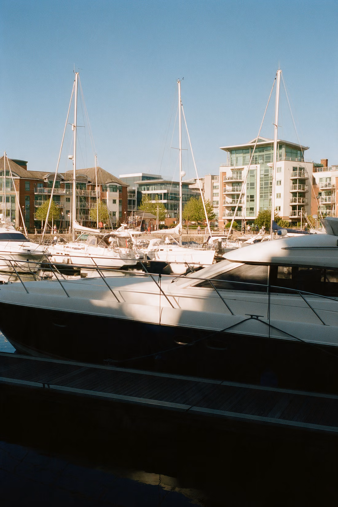 The docks and the Solent Freeport
