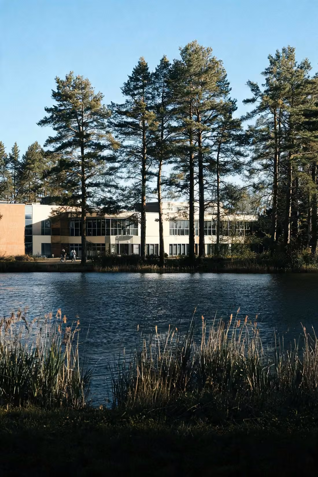 Watchmoor Park and the business parks