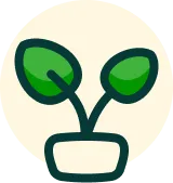 Custom Amount - Volunteer X Webflow Template