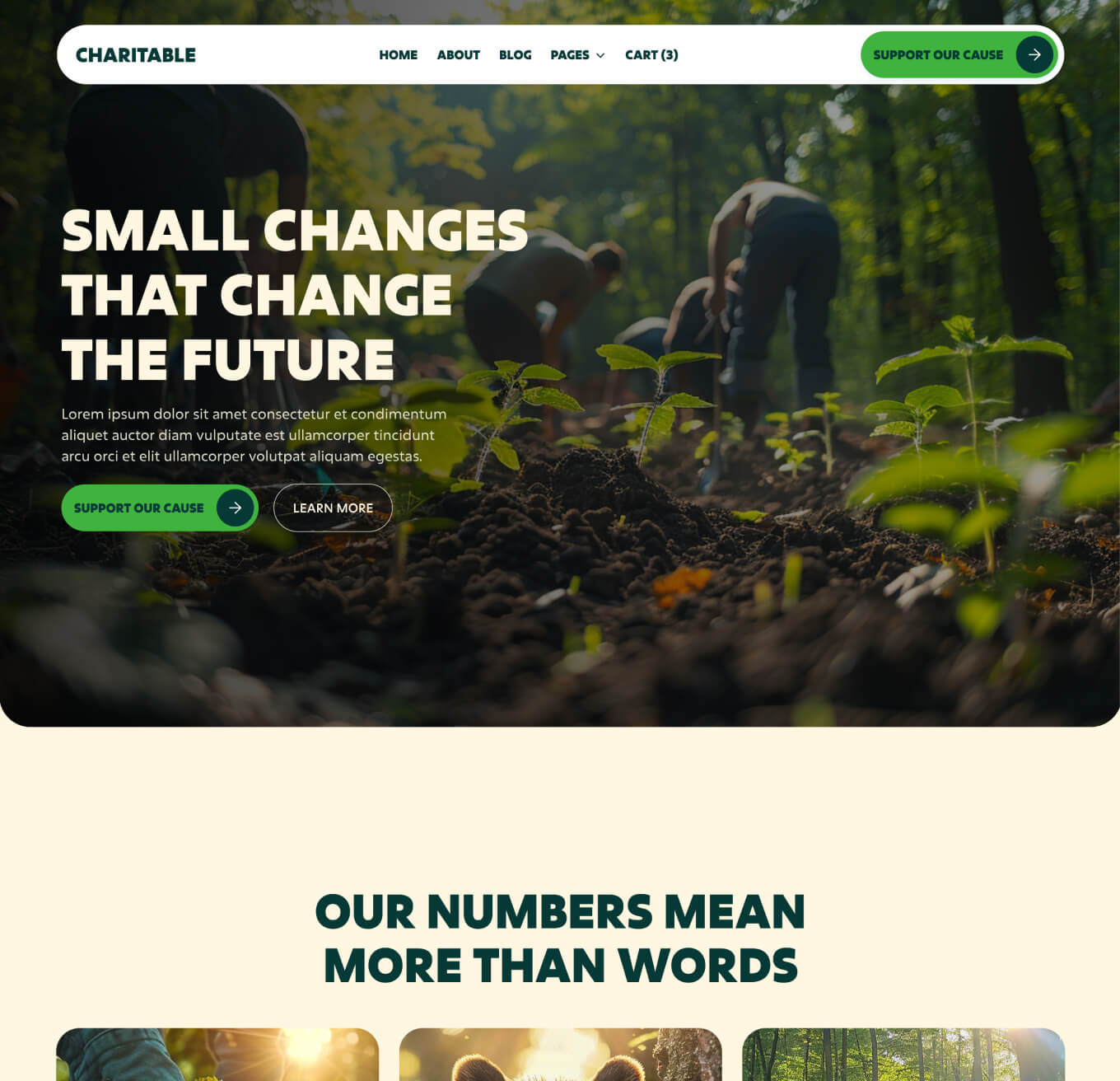 Charitable - Home V1 Page - Nonprofit Webflow Template