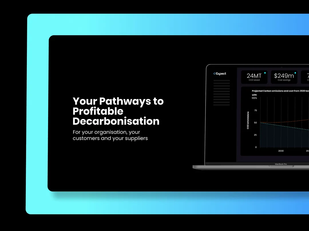 Mock up of an expect website screen with the title of “Your pathways to profitable decarbonisation”