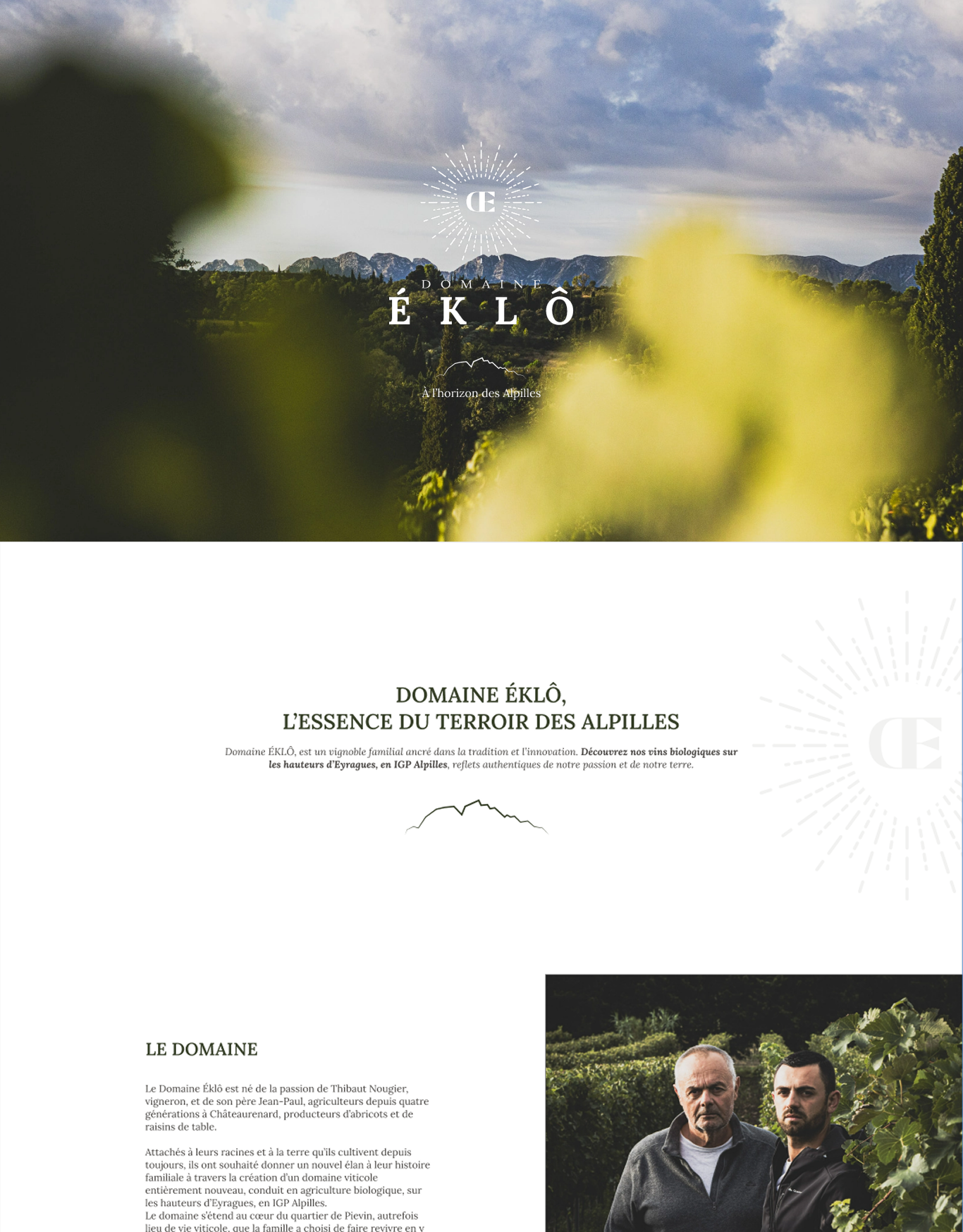 A screenshot of web page