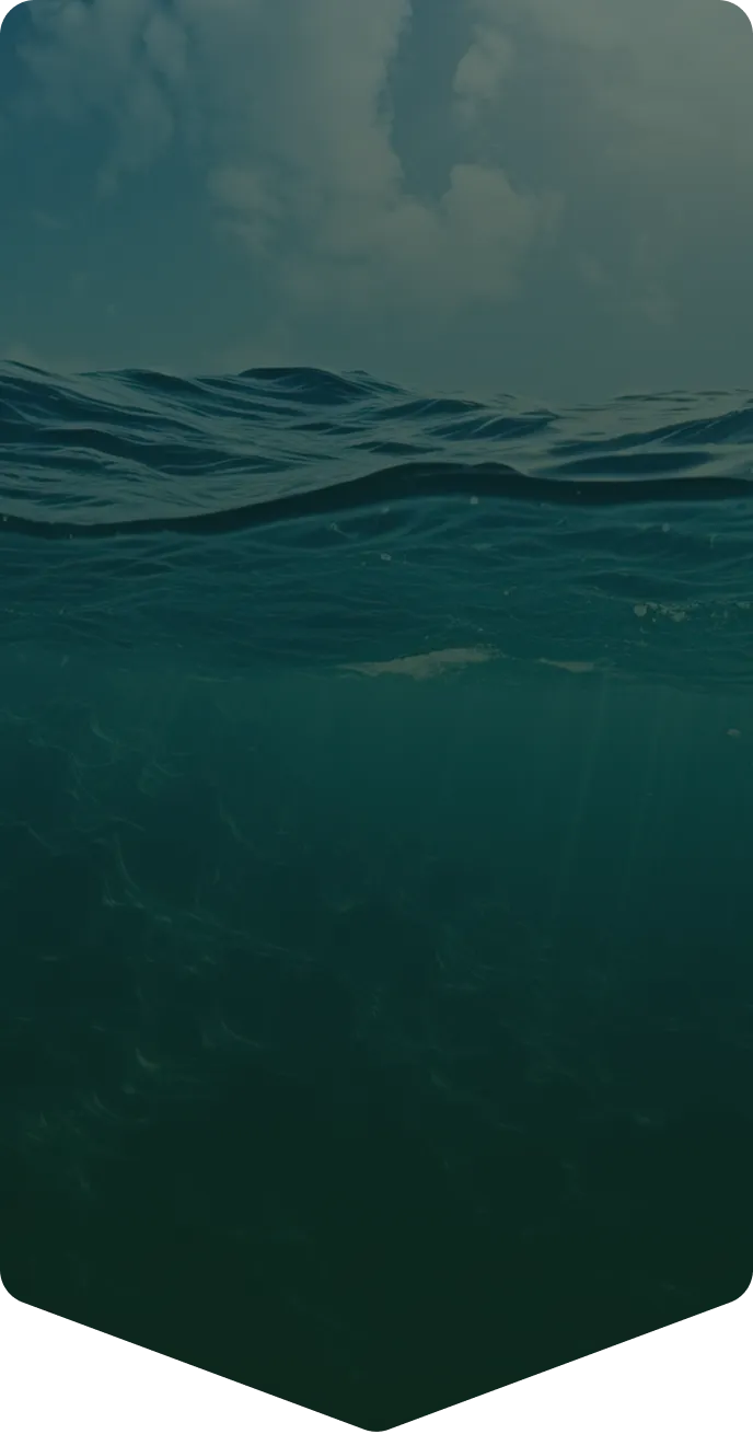 Clean ocean water surface with underwater view