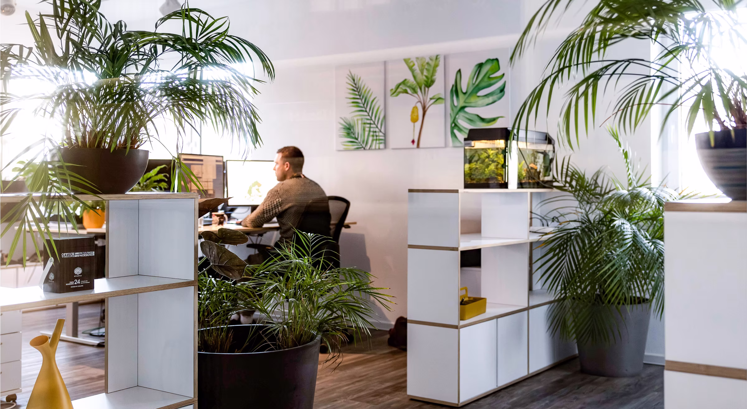 ein modernes, mit vielen Pflanzen dekoriertes Büro.
