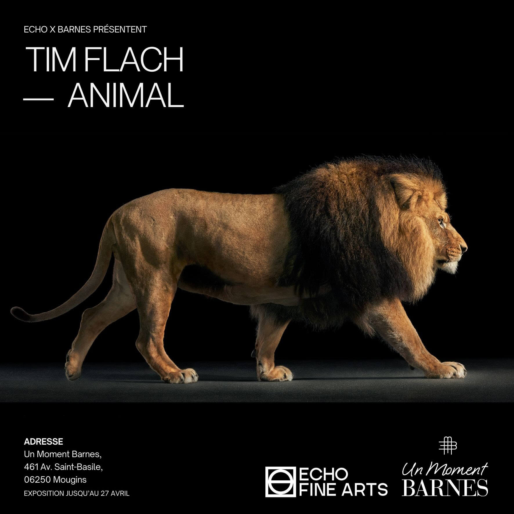 Exposition Animal, Un moment Barnes, Mougins