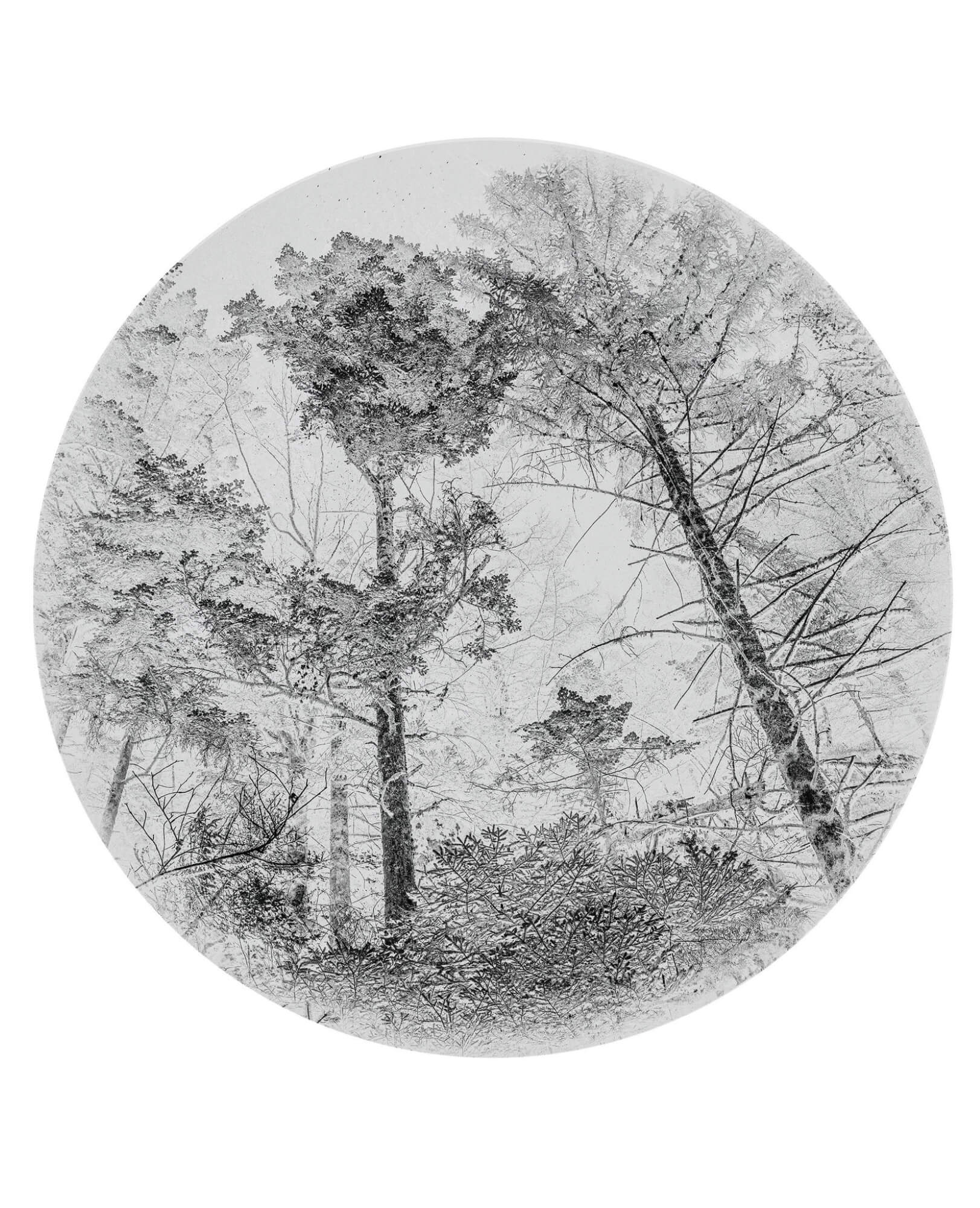 exposition Escapes / Galerie Esther Woerdehoff