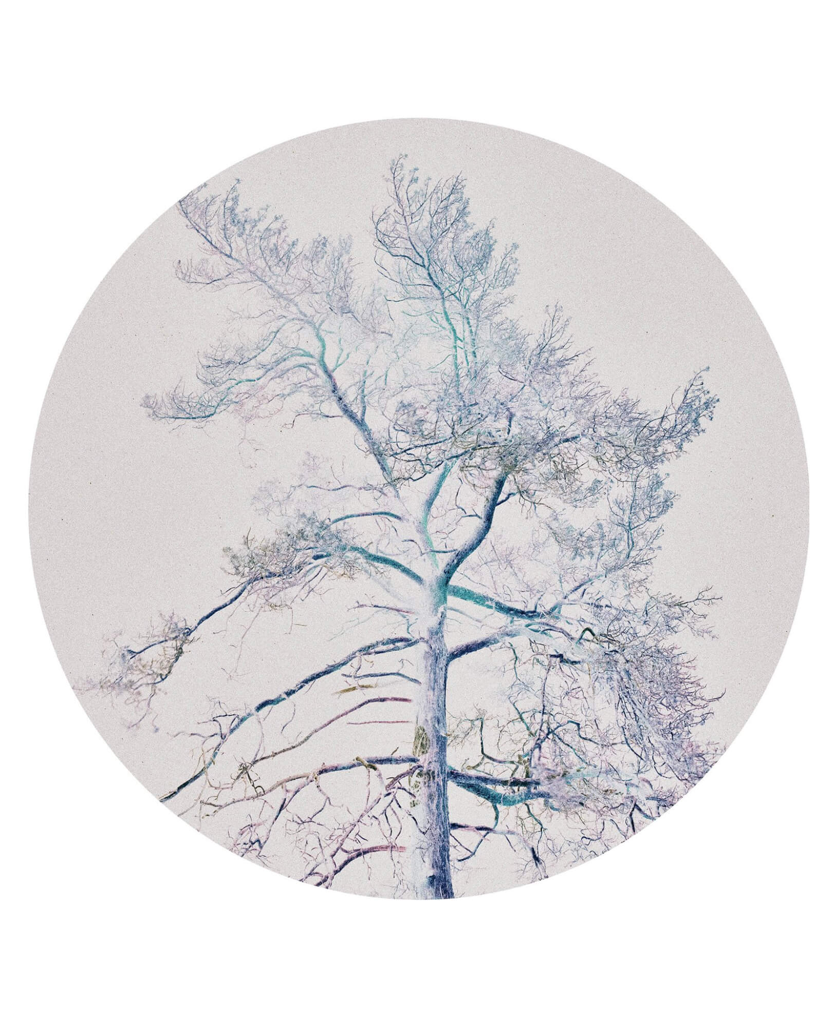 exposition Escapes / Galerie Esther Woerdehoff