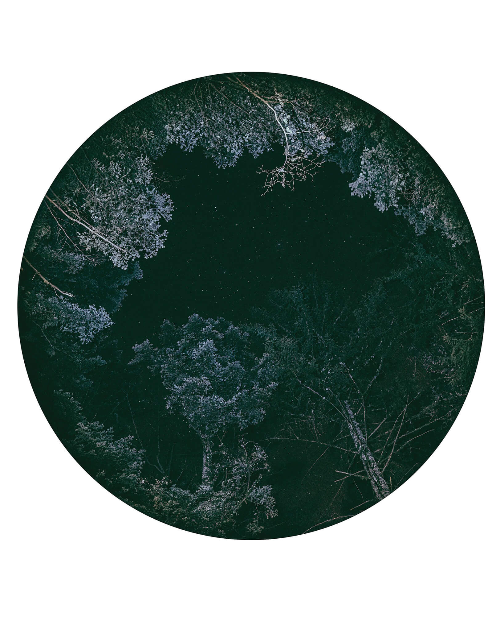 exposition Escapes / Galerie Esther Woerdehoff