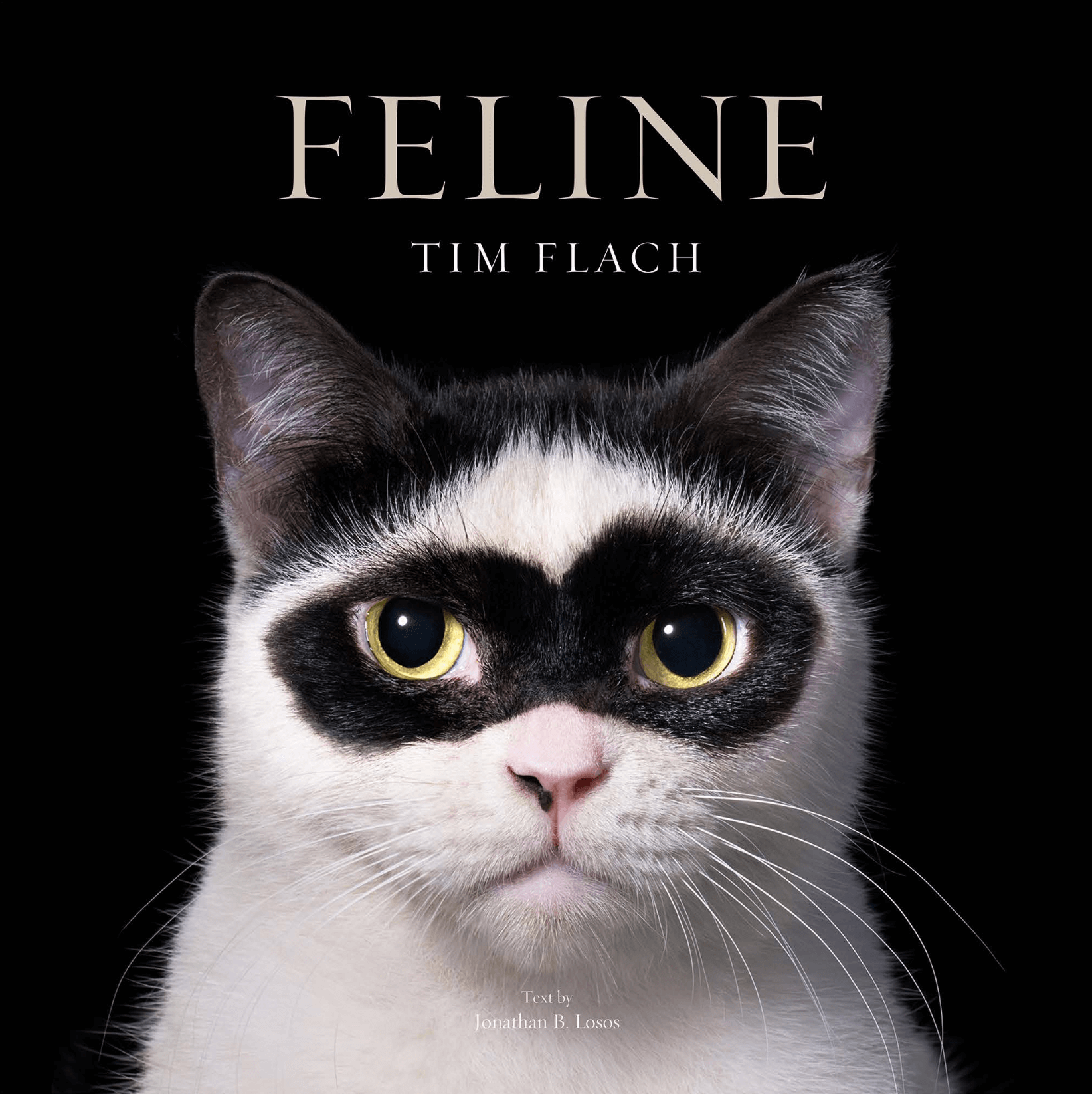 The Sunday Times : Tim Flach - Feline