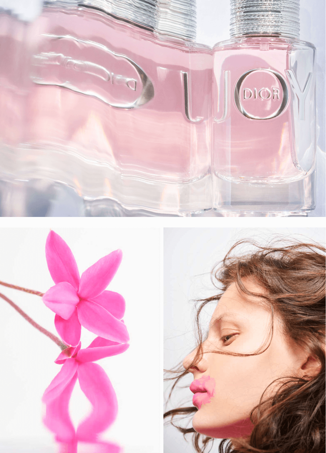 Welcome Sophie Delaporte