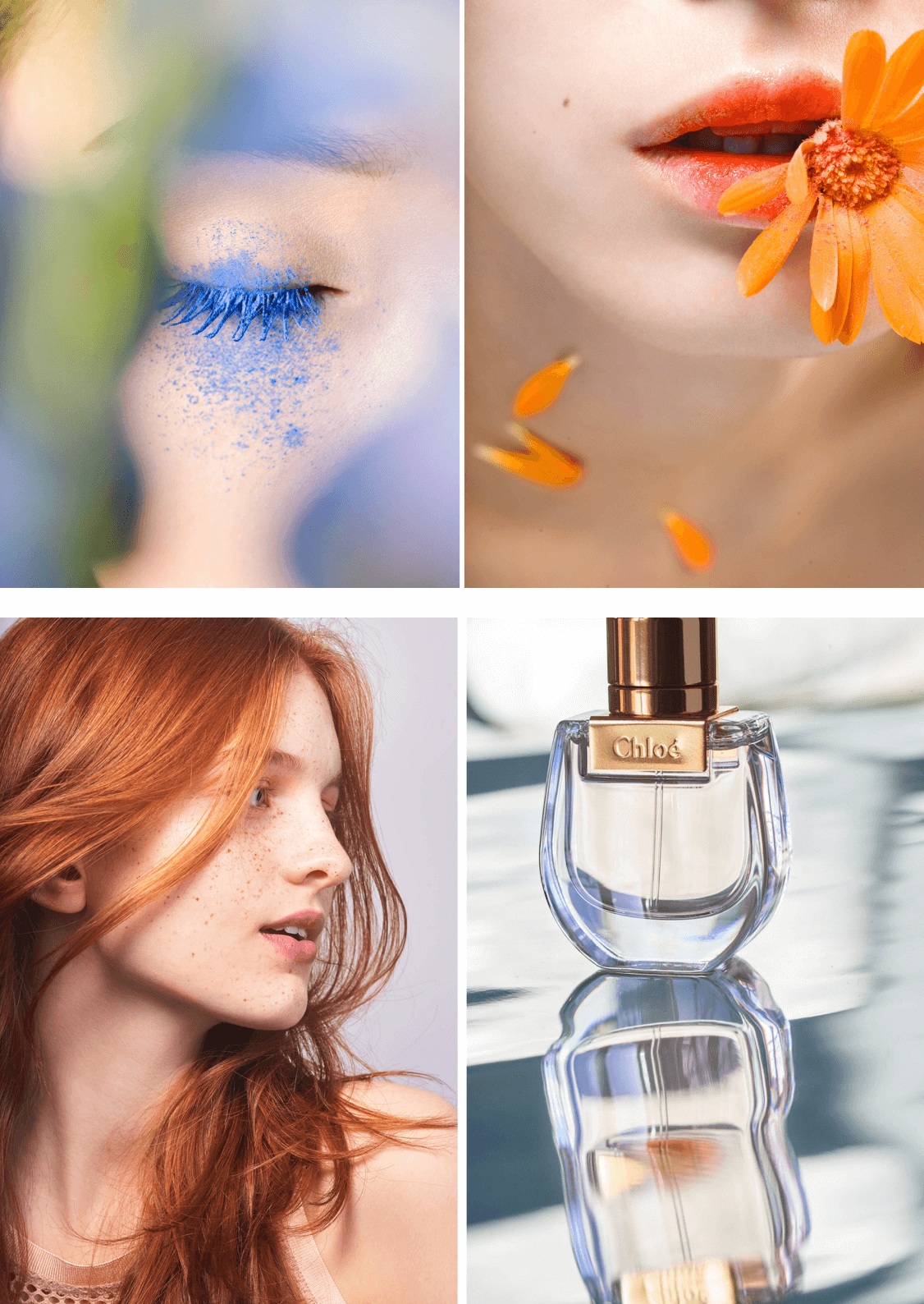 Welcome Sophie Delaporte