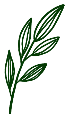 Simple green leaf branch with five elongated leaves.