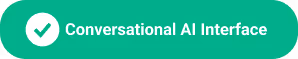 Green rounded rectangle button with a white checkmark and the text 'Conversational AI Interface'.