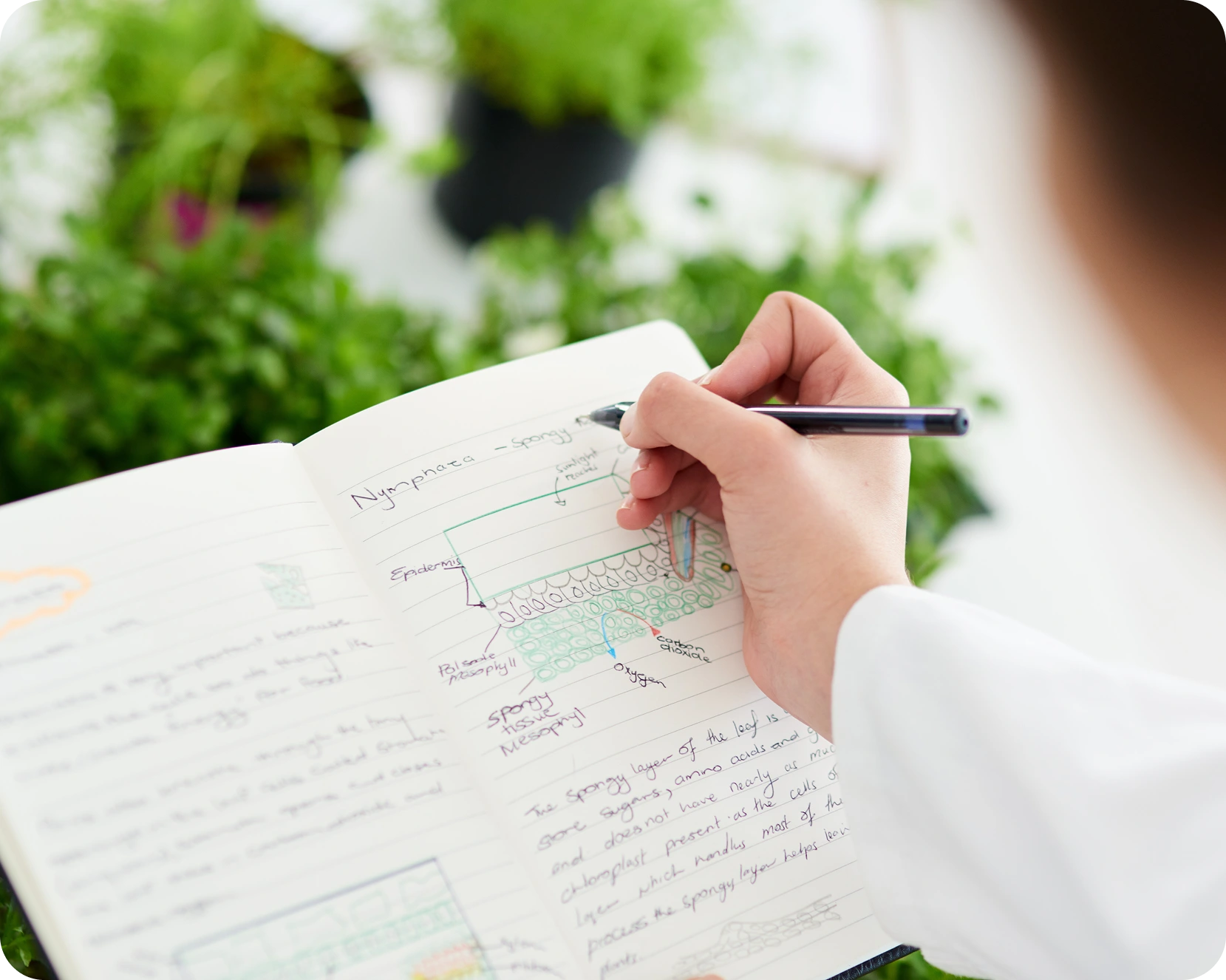 a person writing in a notebook