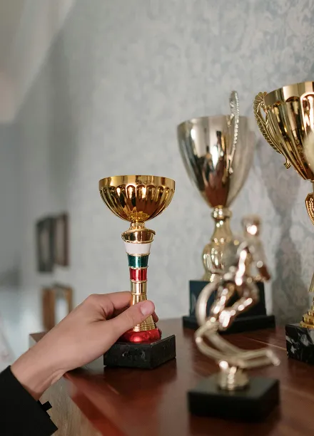 pulseon about award image