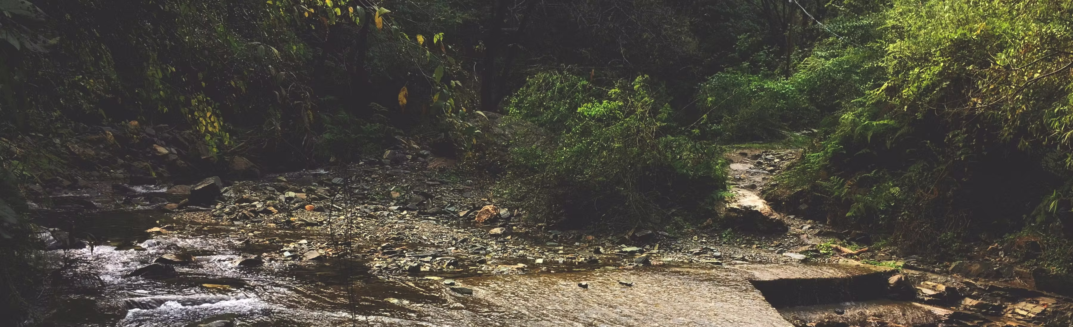 pulseon contact banner image