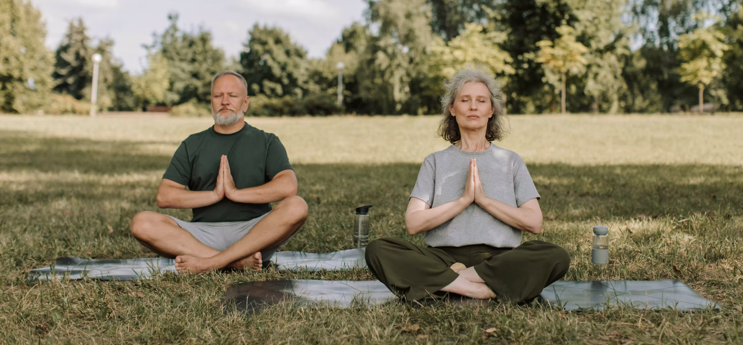 Lifestyle transformation portfolio