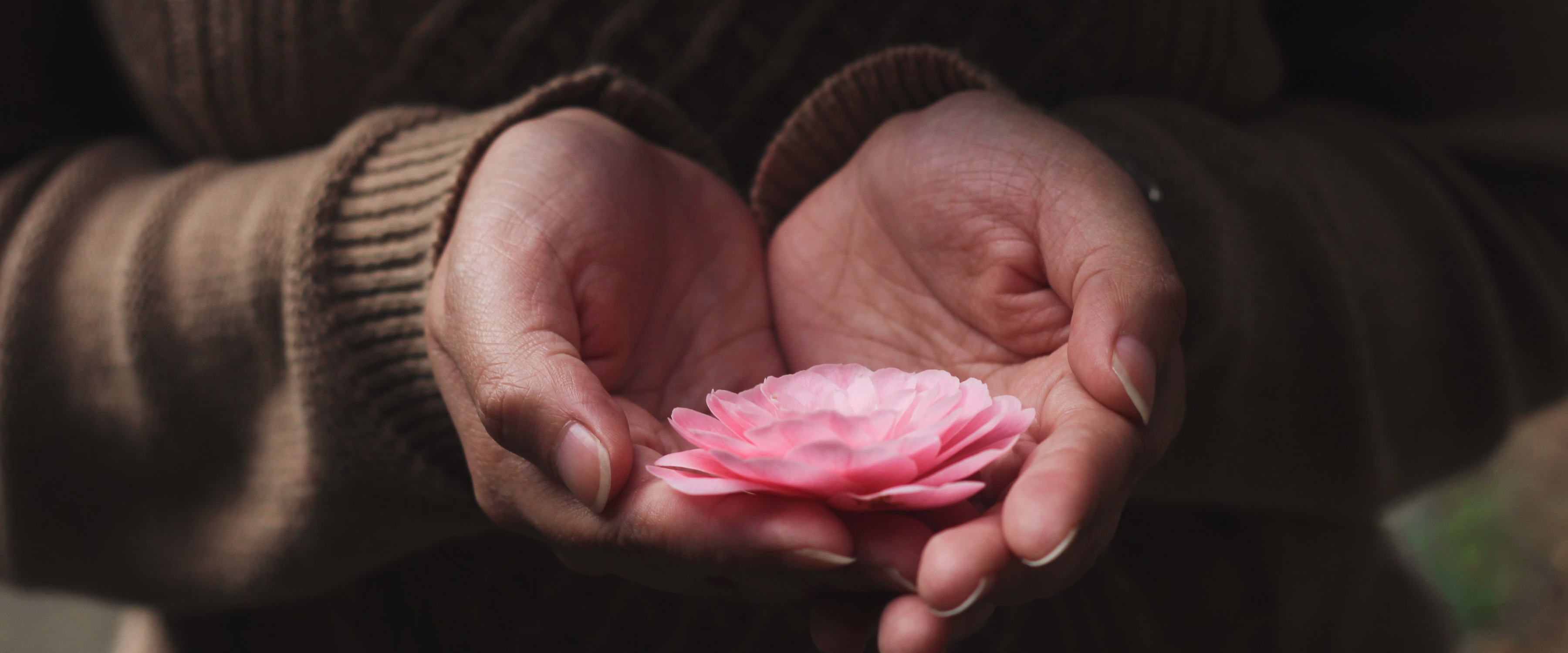 Mind-body balance projects