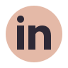 Linkedin icon