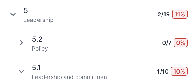 Assessment summary showing Leadership category with 11% completion, Policy subcategory at 0%, and Leadership and commitment subcategory at 10%.