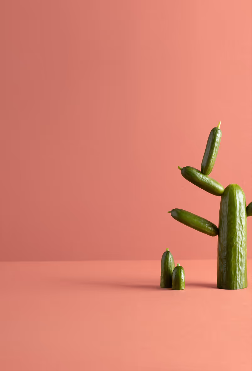 Miniature cactus shaped from multiple green cucumbers on a pink surface and background.