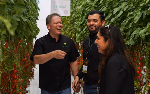 Three people smiling and talking while walking between rows of tomato plants in a greenhouse.
