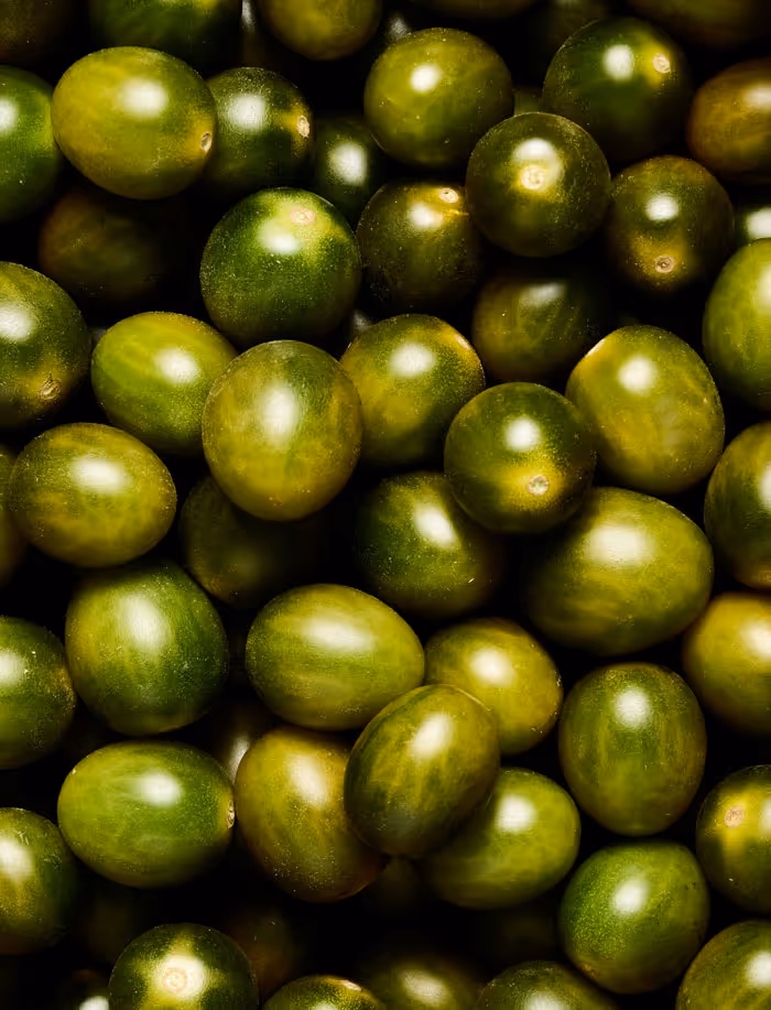 Close-up of multiple small green tomatoes tightly packed together.