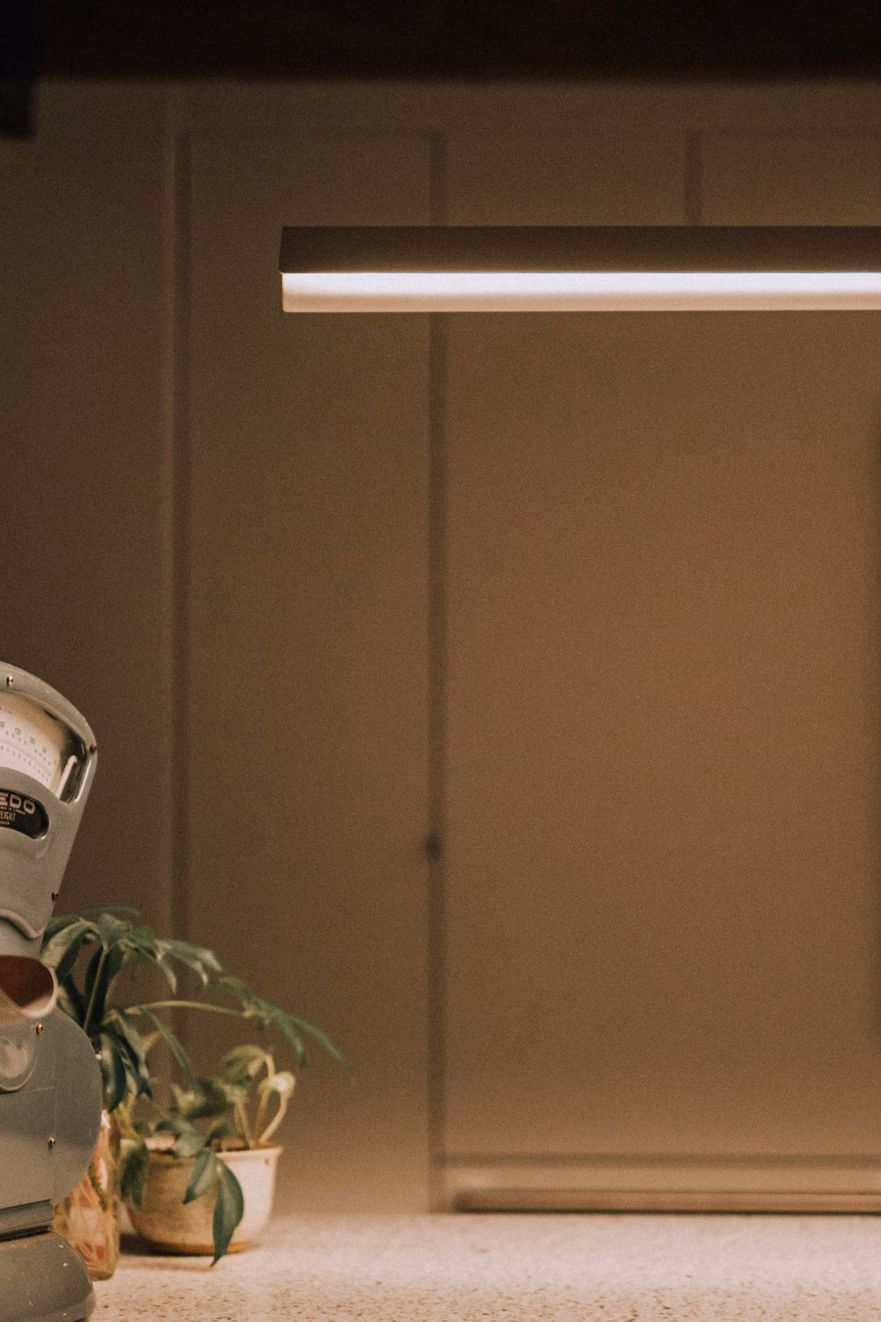 Balance mécanique grise à gauche avec deux plantes en pots sur un dessus beige et mur brun en arrière-plan.