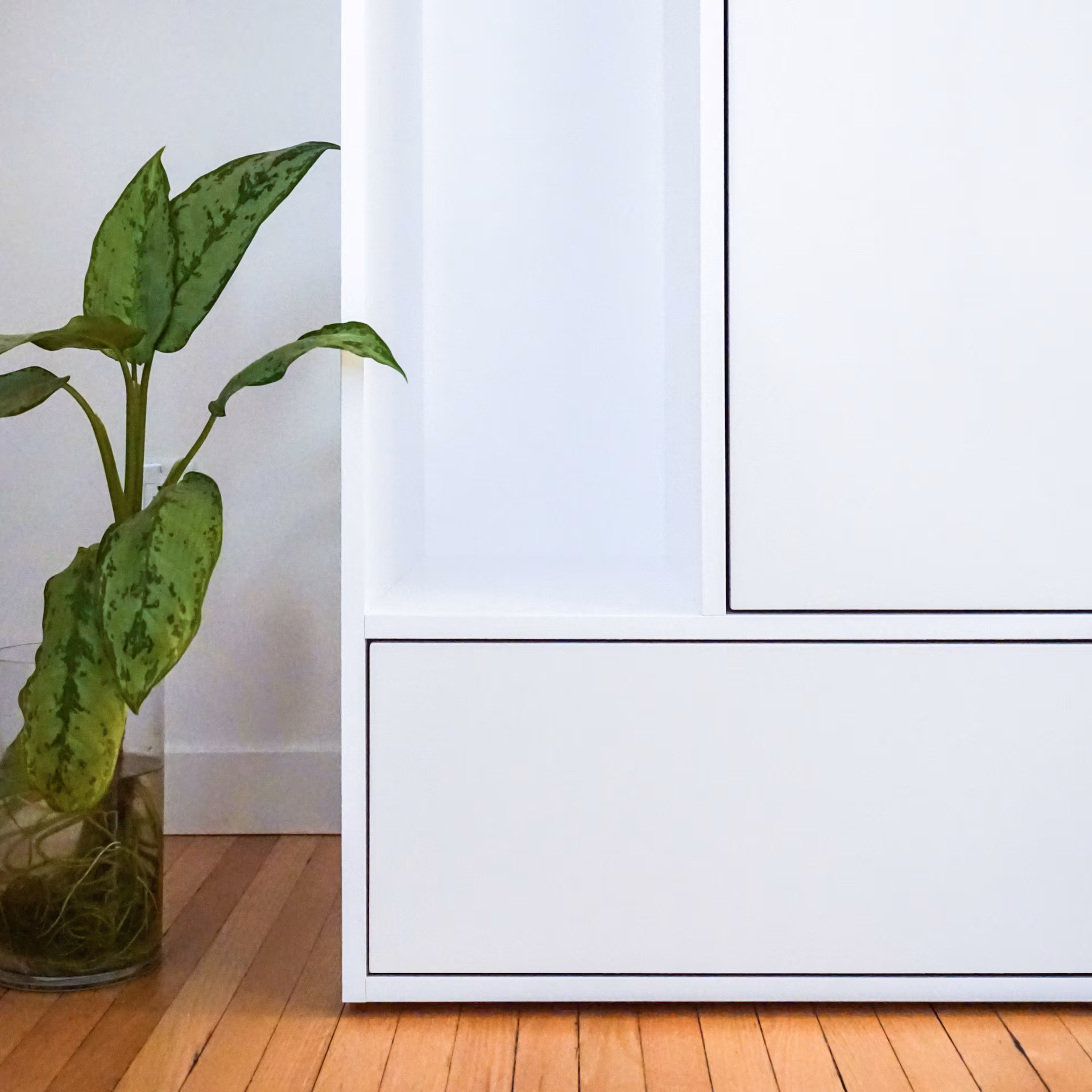 Plante verte dans un vase en verre à côté d'un meuble blanc sur un plancher en bois.